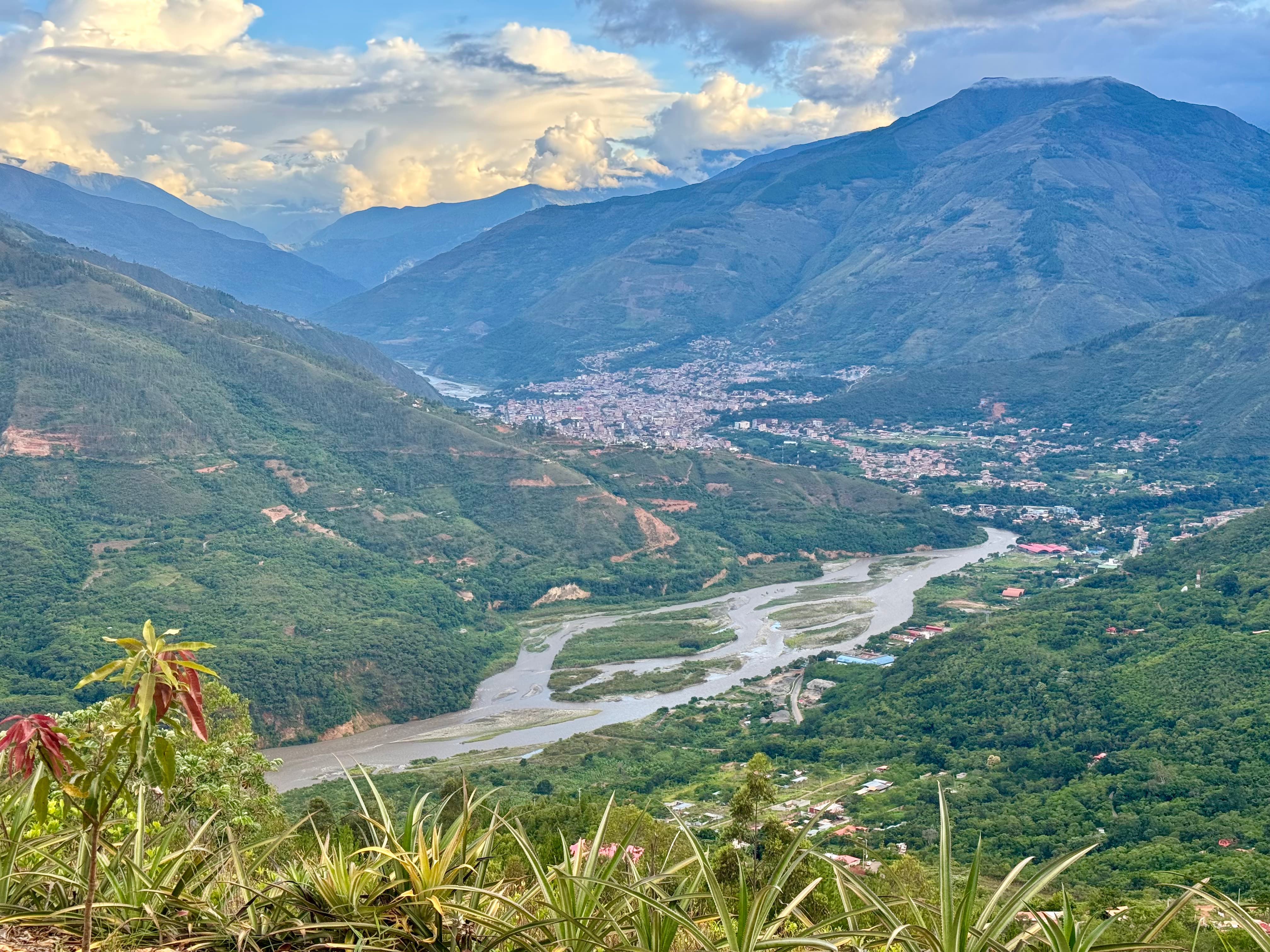 The lush cloud forest landscape of Quillabamba, Peru