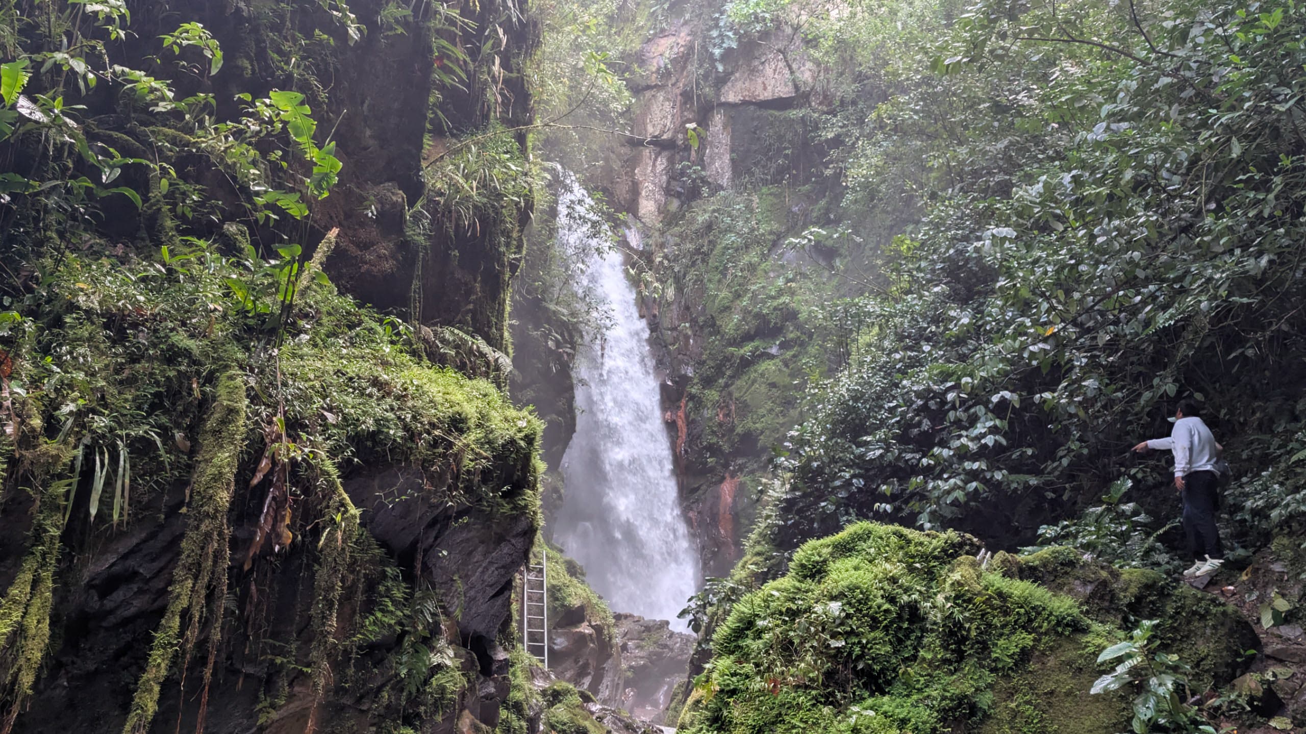 Duende Waterfall & Coffee Farm
